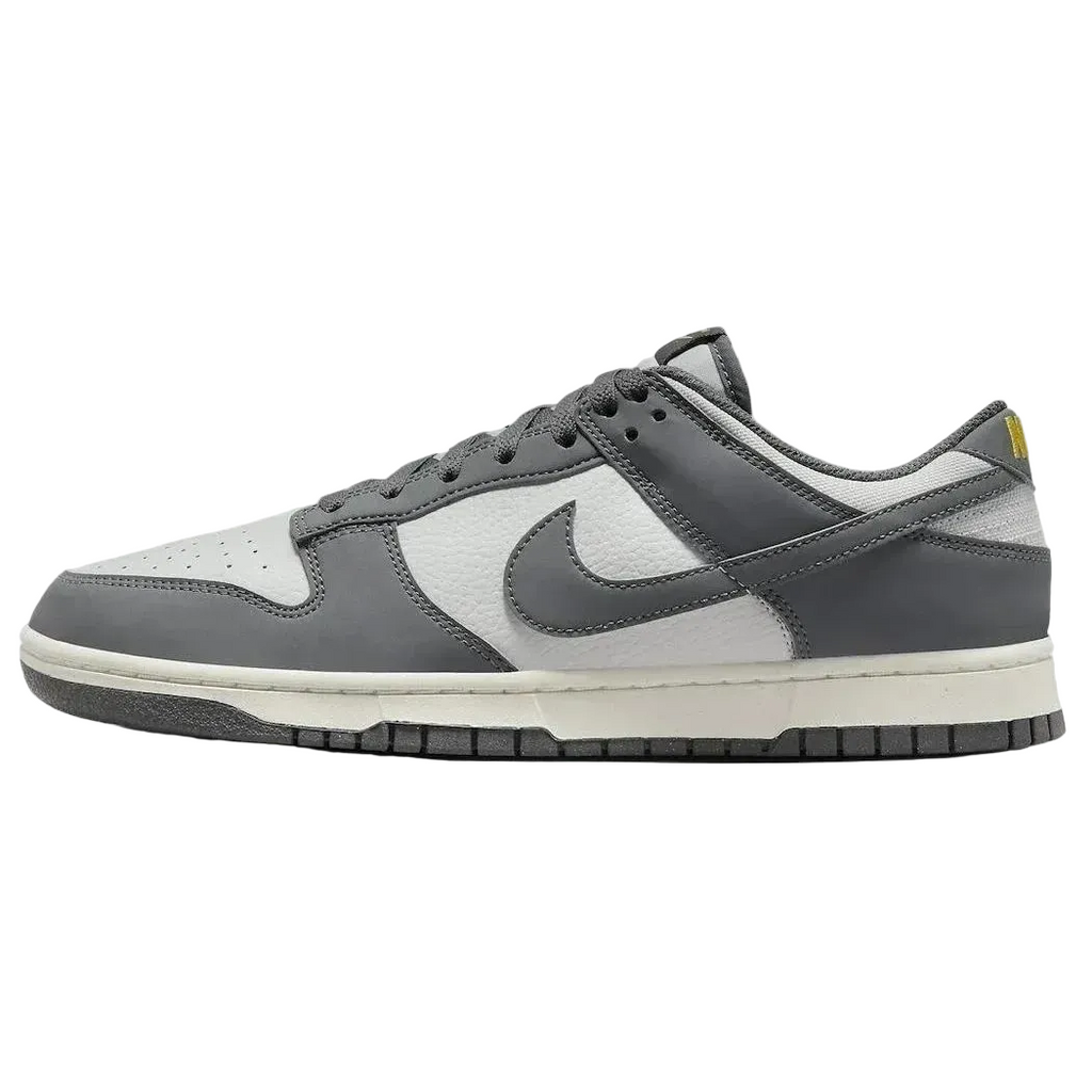 Nike Dunk Low Next Nature Iron Grey FZ4621-001