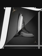 Michael Jordan Autographed Chicago Bulls Nike Air Jordan 12 Retro 'Playoffs' 2 Shoes UDA LE 23