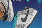Nike Dunk SB Low Cut Board Shoes Men's Brown Black
